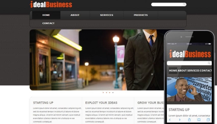 Business Portfolio website