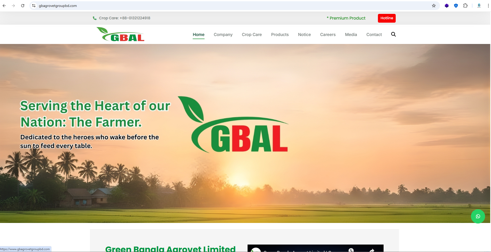 Corporate Business Website-01